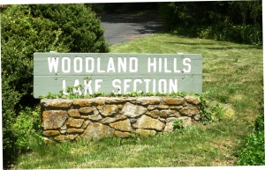Lake Section Sign